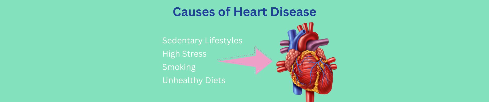 Common Causes of Heart Disease